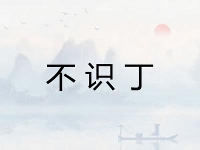 不识丁