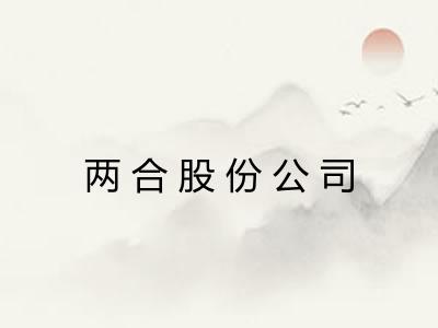 两合股份公司 两合股份公司