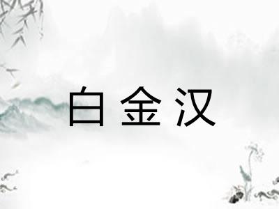 白金汉 白金汉