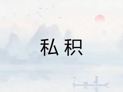 私积