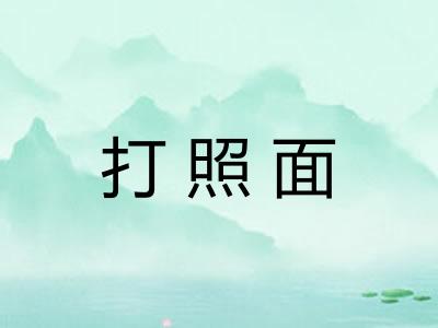 打照面 打照面