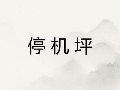 停机坪