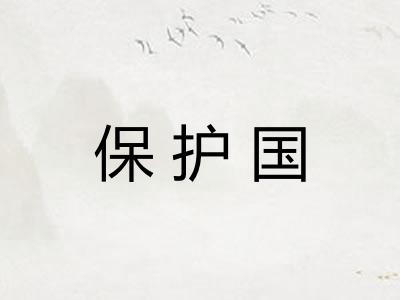 保护国