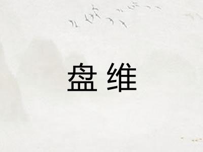 盘维
