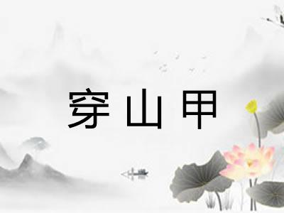 穿山甲