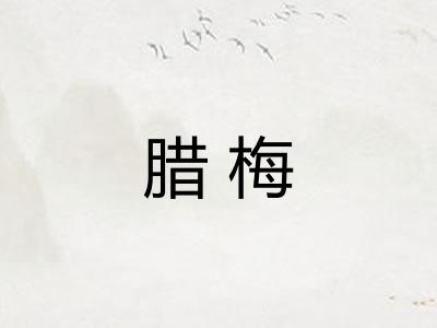 腊梅