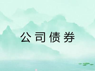 公司债券 公司债券