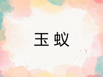 玉蚁