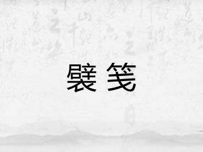襞笺