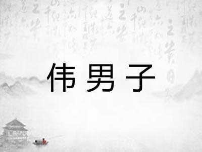 伟男子
