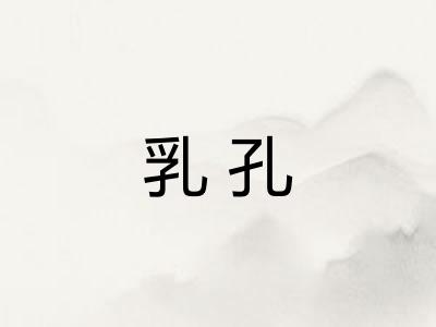 乳孔