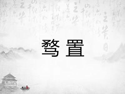 骛置