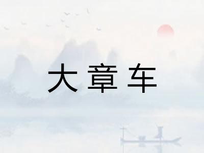 大章车 大章车