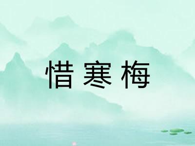 惜寒梅 惜寒梅