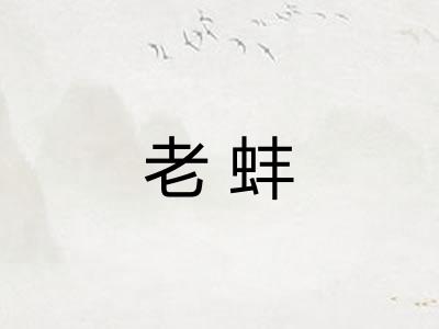 老蚌
