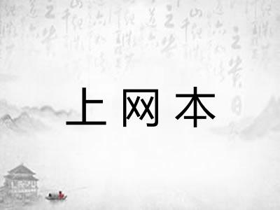 上网本