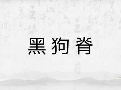 黑狗脊