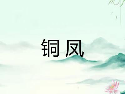 铜凤