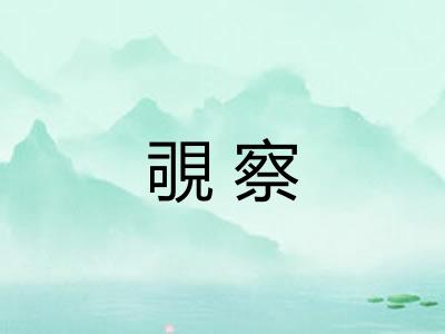 覗察