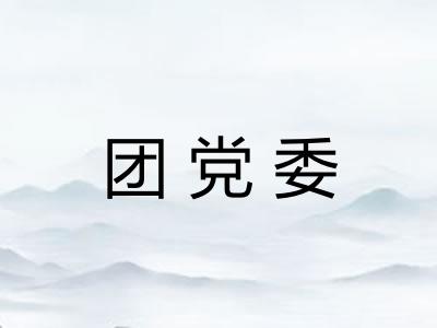 团党委 团党委