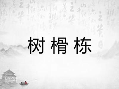树榾栋