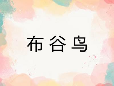 布谷鸟