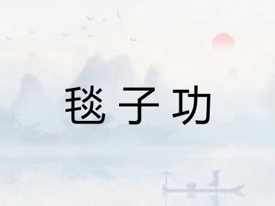 毯子功
