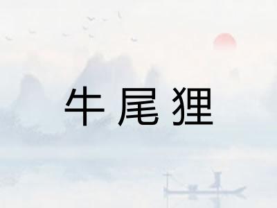 牛尾狸