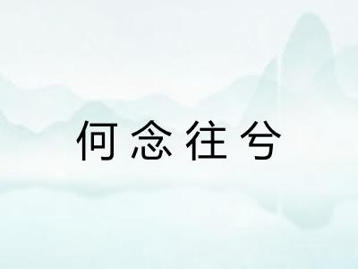 何念往兮