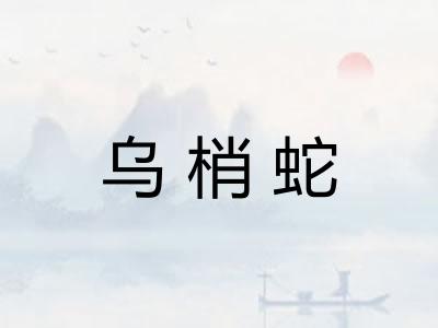乌梢蛇 乌梢蛇