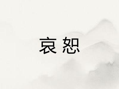 哀恕