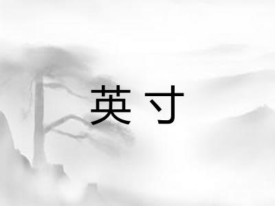 英寸