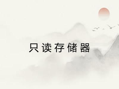 只读存储器 只读存储器