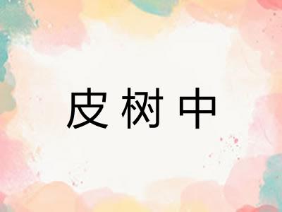 皮树中 皮树中