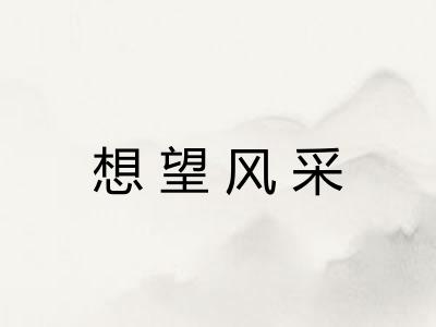 想望风采 想望风采