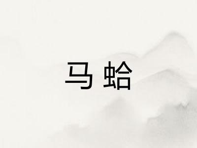 马蛤 马蛤