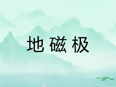 地磁极