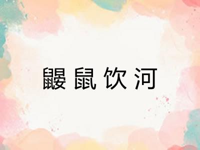 鼹鼠饮河