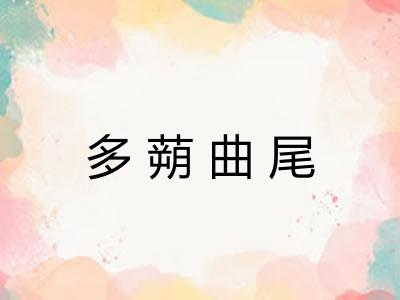 多蒴曲尾 多蒴曲尾
