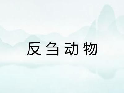 反刍动物