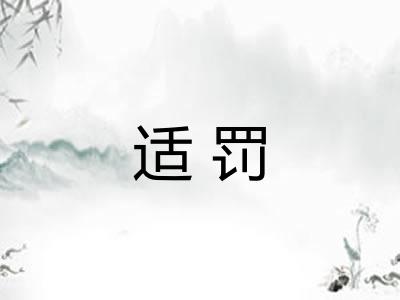 适罚