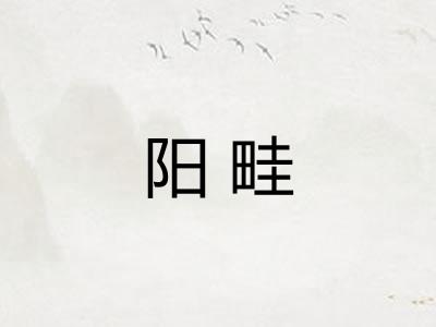 阳畦