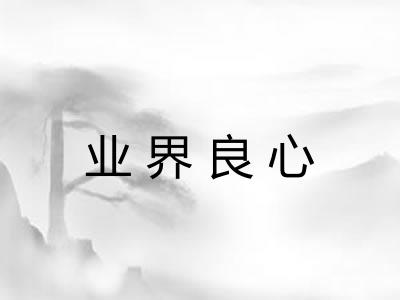 业界良心