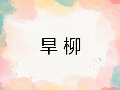 旱柳 旱柳