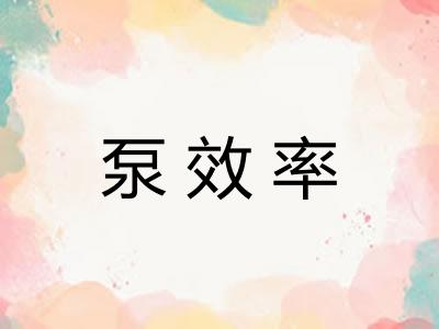 泵效率 泵效率