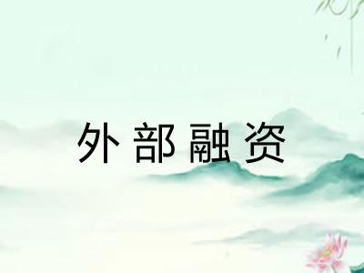 外部融资 外部融资