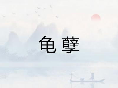 龟孽