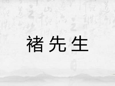 褚先生