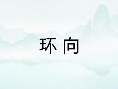环向