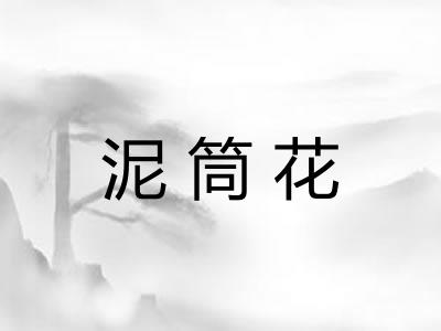 泥筒花